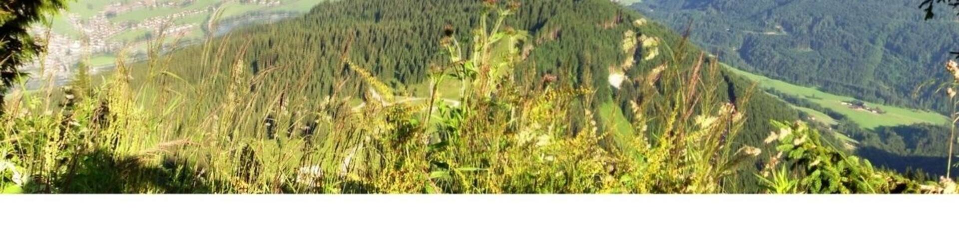 Rossfeldpanoramastrasse is a 15.4km long toll road through the Alps on the German Austrian border. The view from the top is breathtaking. This is looking into Austria.