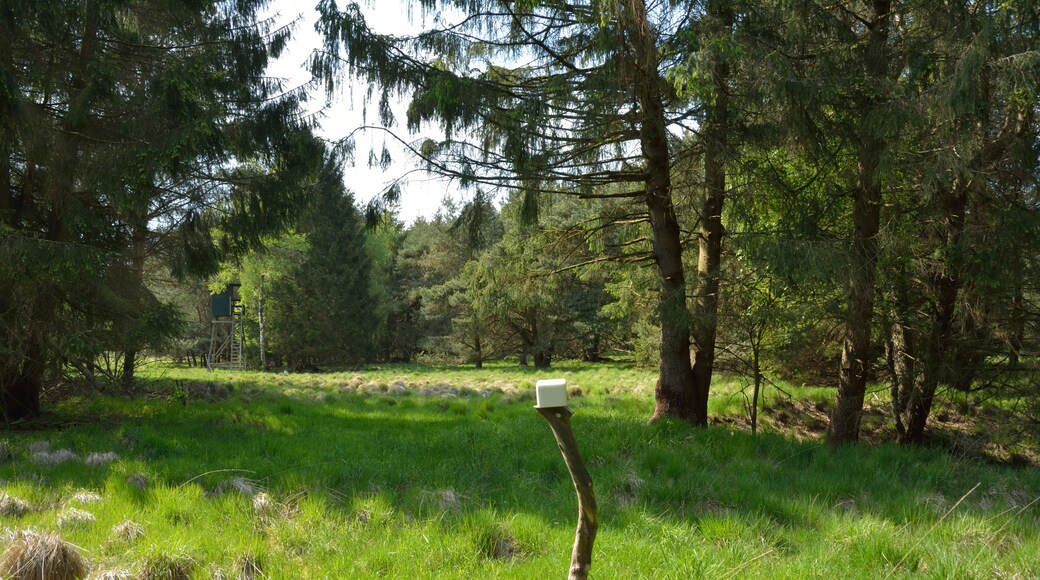 This is a picture of the protected area listed at WDPA under the ID