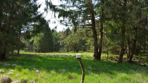 This is a picture of the protected area listed at WDPA under the ID