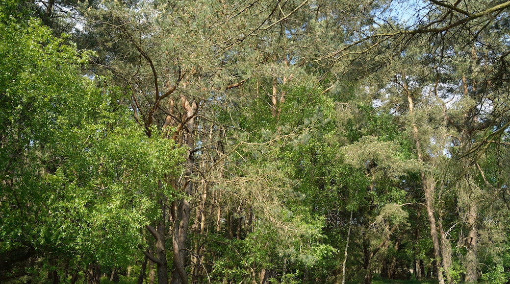 This is a picture of the protected area listed at WDPA under the ID