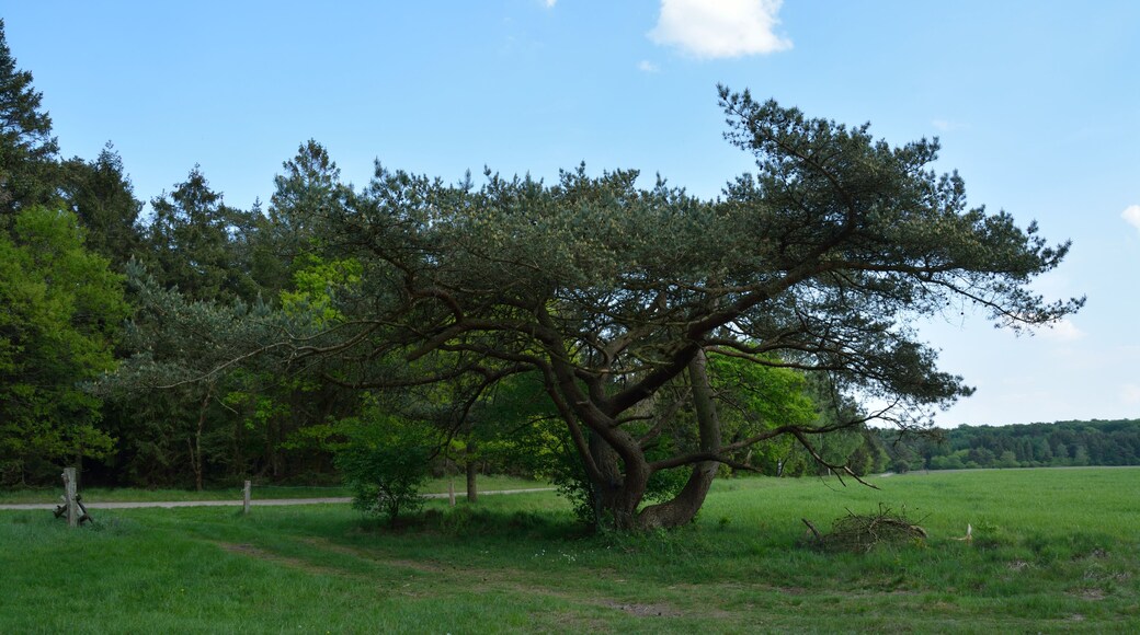 This is a picture of the protected area listed at WDPA under the ID