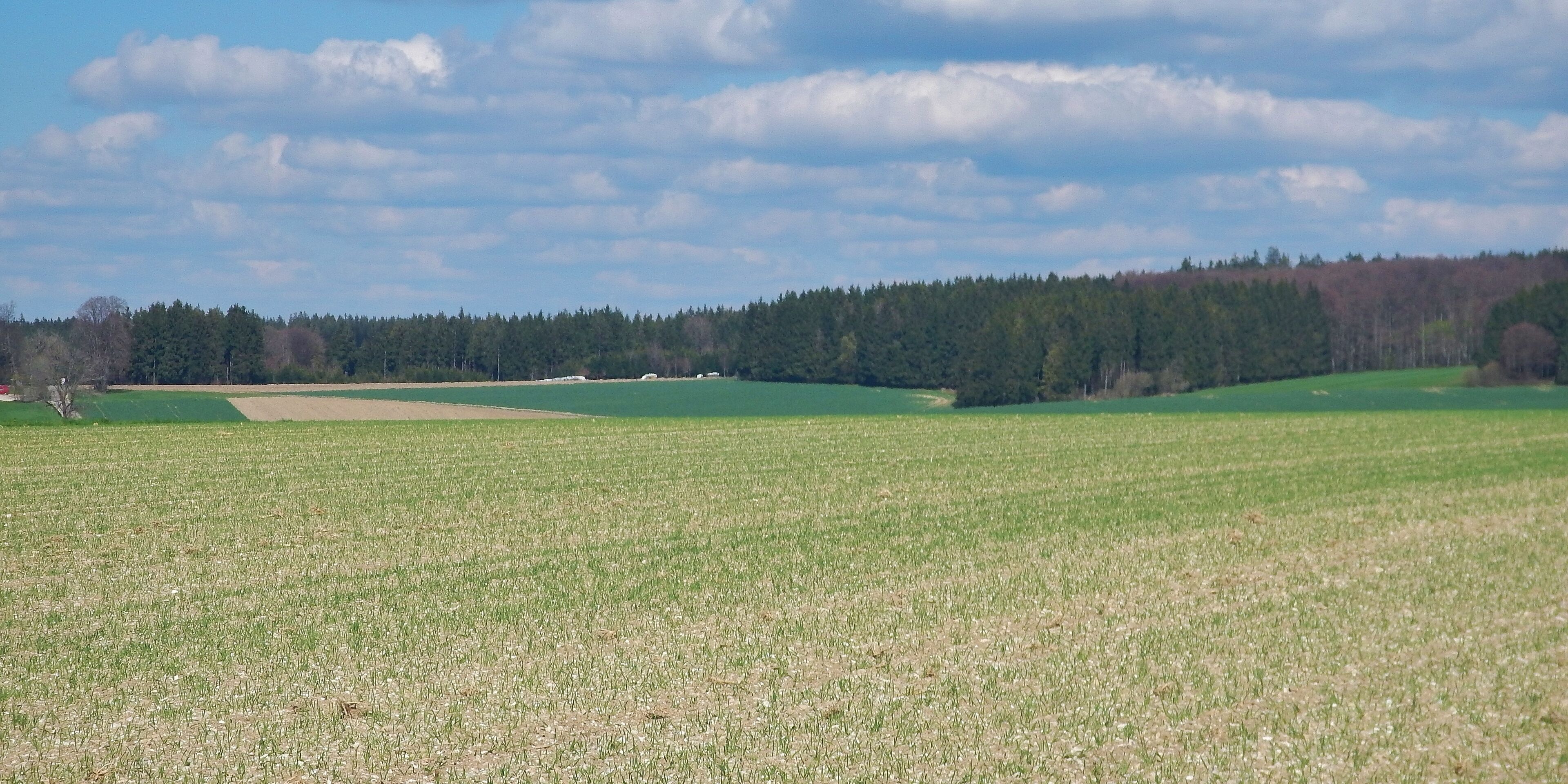 A vast open field with patches of green and brown, a forest in the background, and a partly cloudy sky.