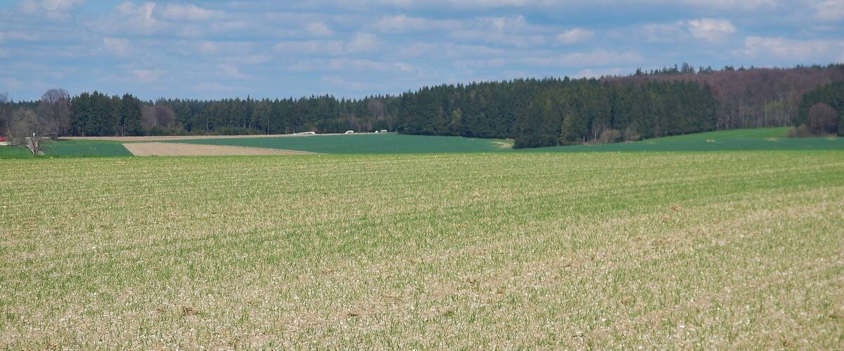 A vast open field with patches of green and brown, a forest in the background, and a partly cloudy sky.