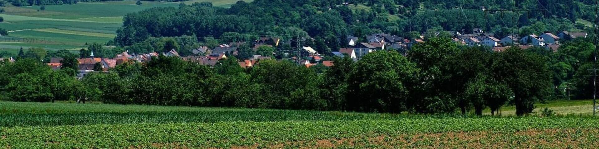 Blick vom Ruiter AT auf die Ravensburg + Derdinger Horn