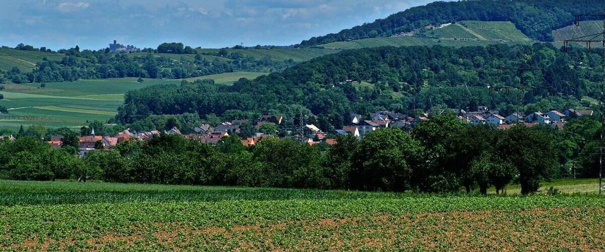 A rural landscape with rolling hills, a village, and power lines.