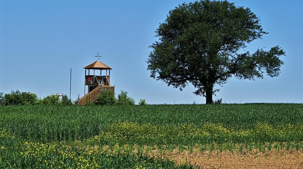 Bretten Ruit - Aussichtsturm