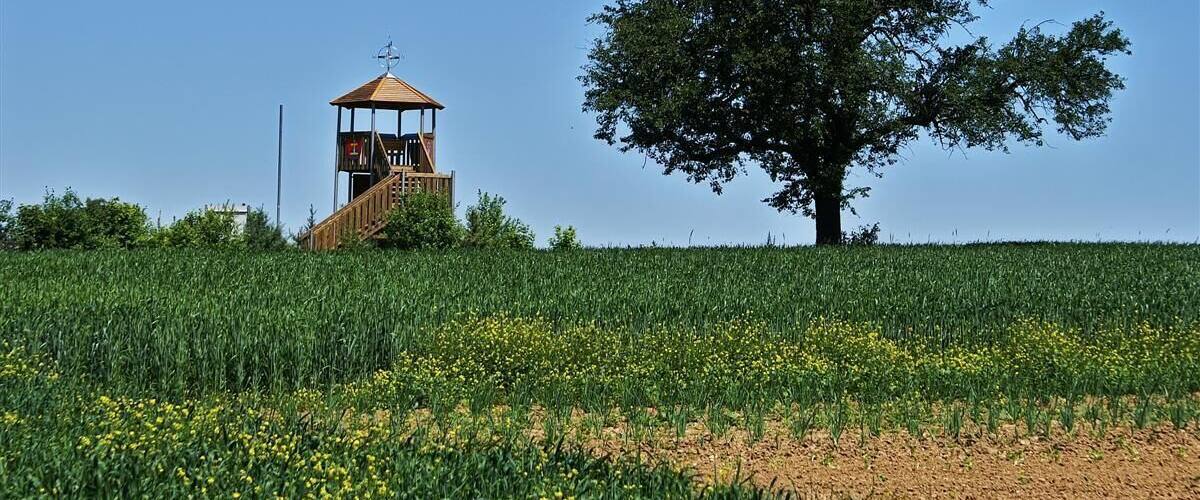 Bretten Ruit - Aussichtsturm