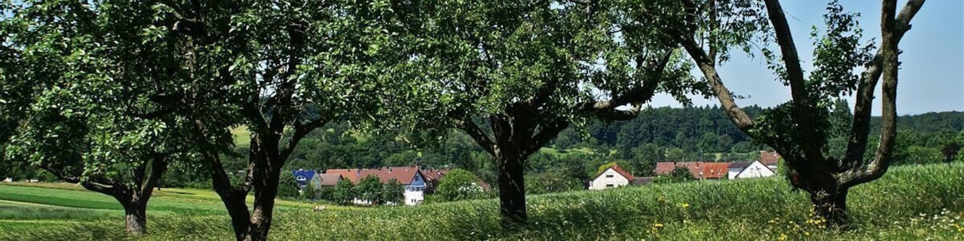 Bretten Ruit hinter Bäumen