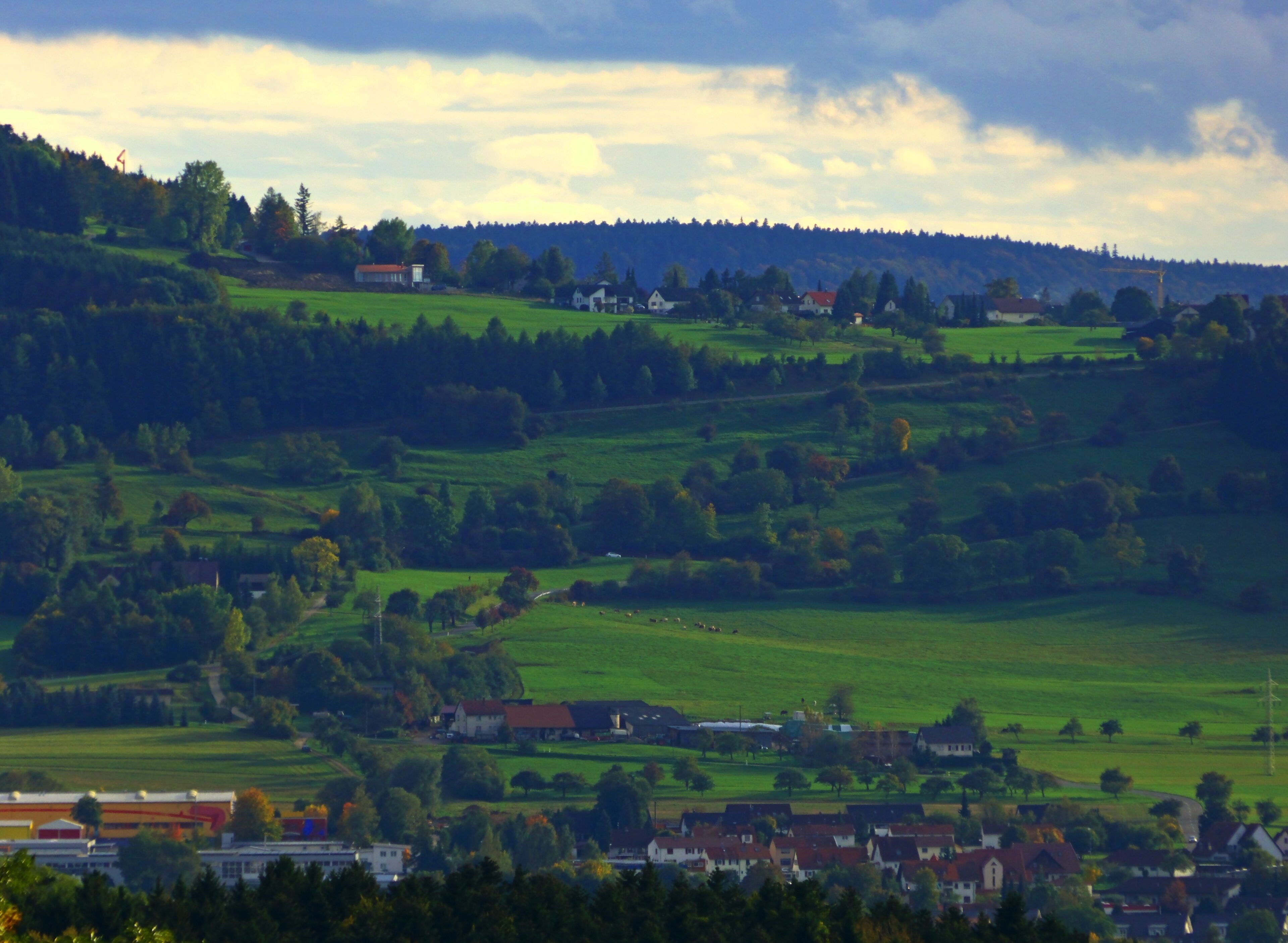 A rural landscape with rolling hills, scattered houses, and a dense forest in the background.