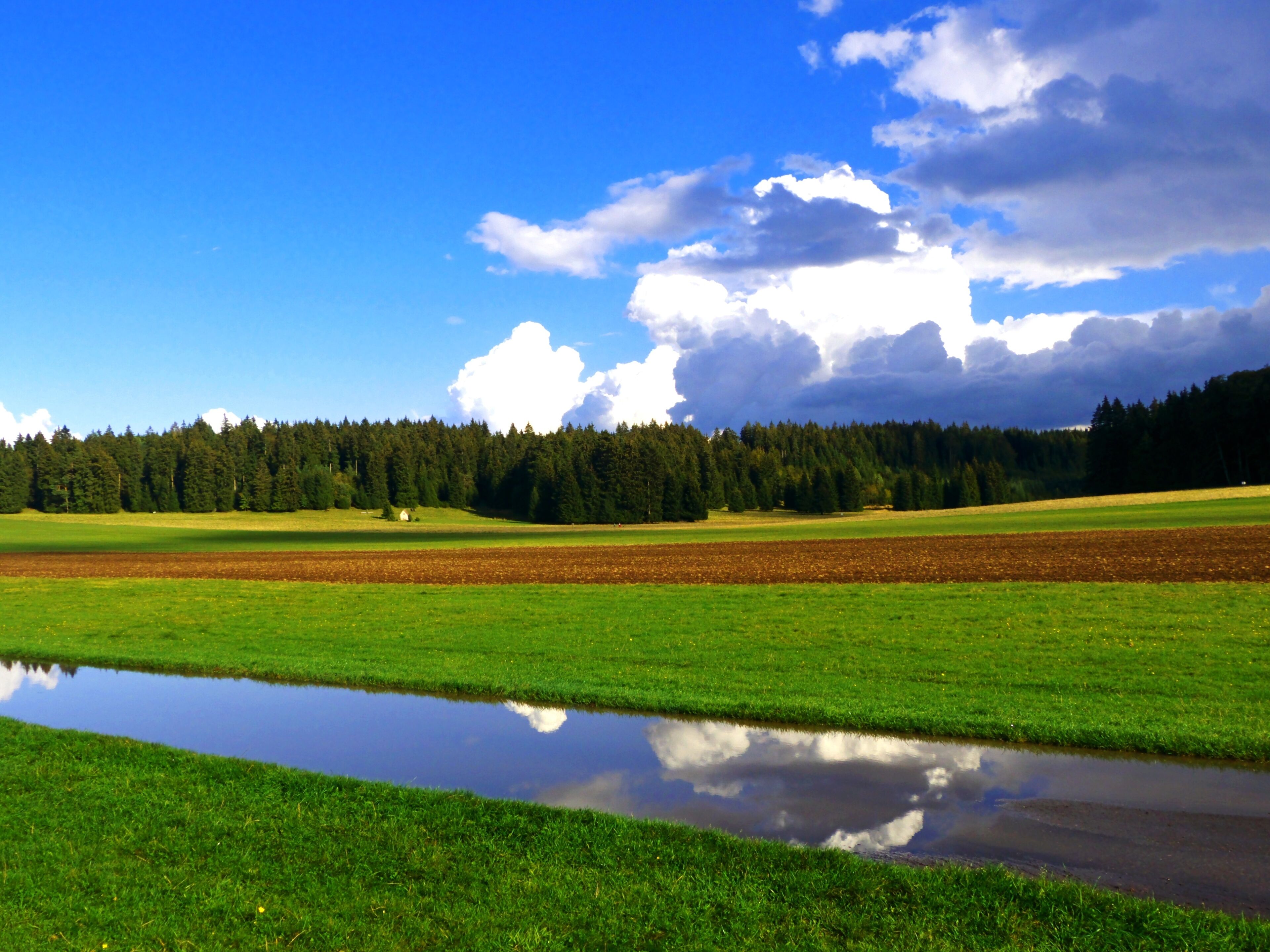 The Runway Is Freshly Processed