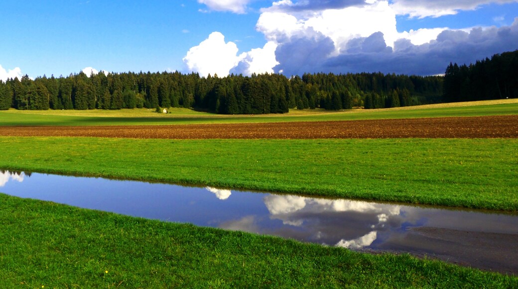 The Runway Is Freshly Processed