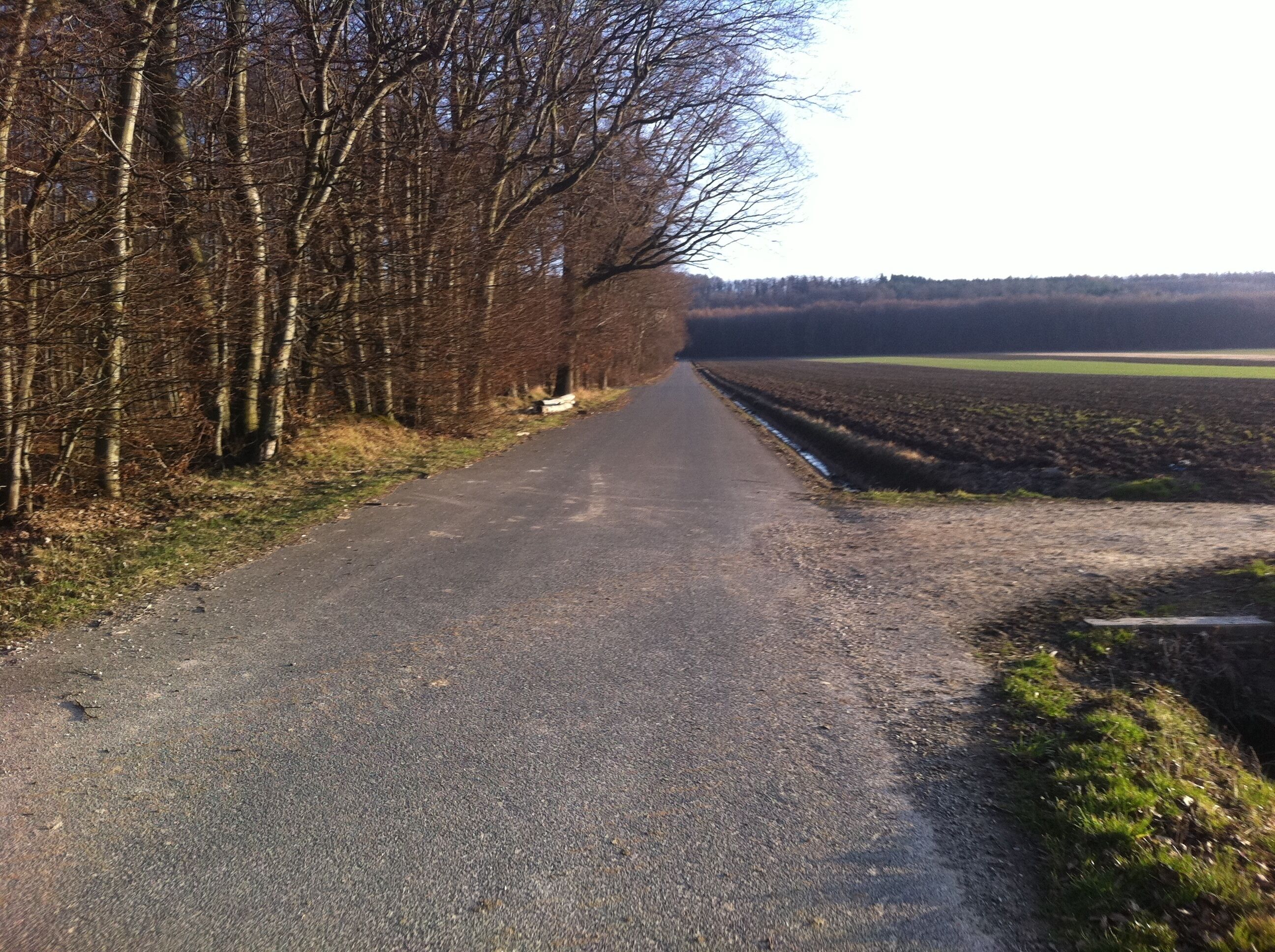 Schellerten, Germany