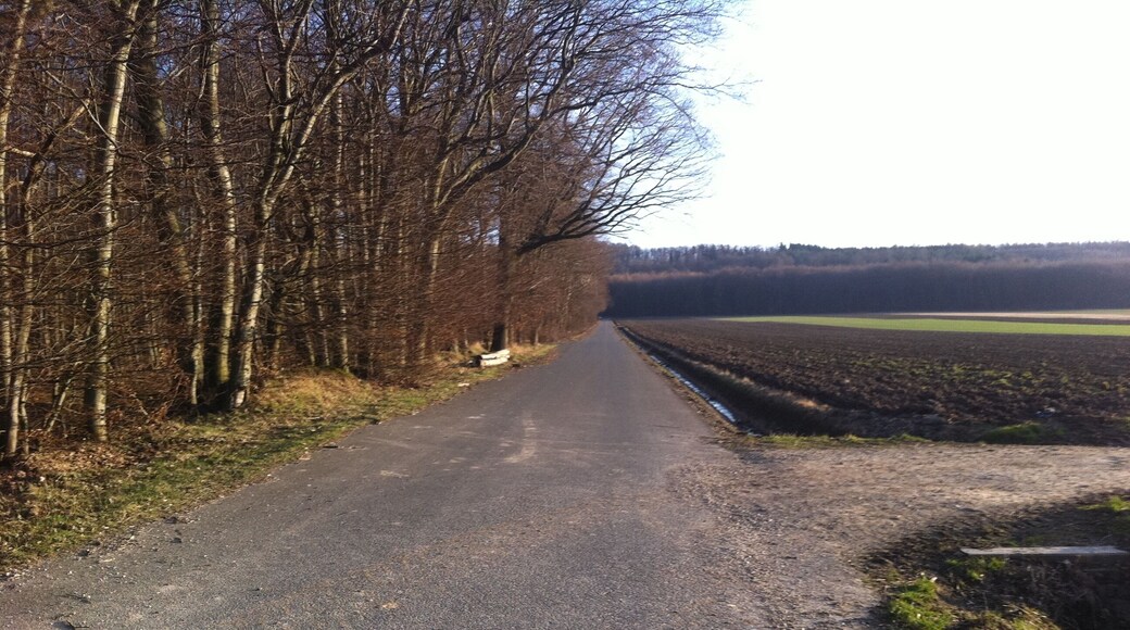 Schellerten, Germany