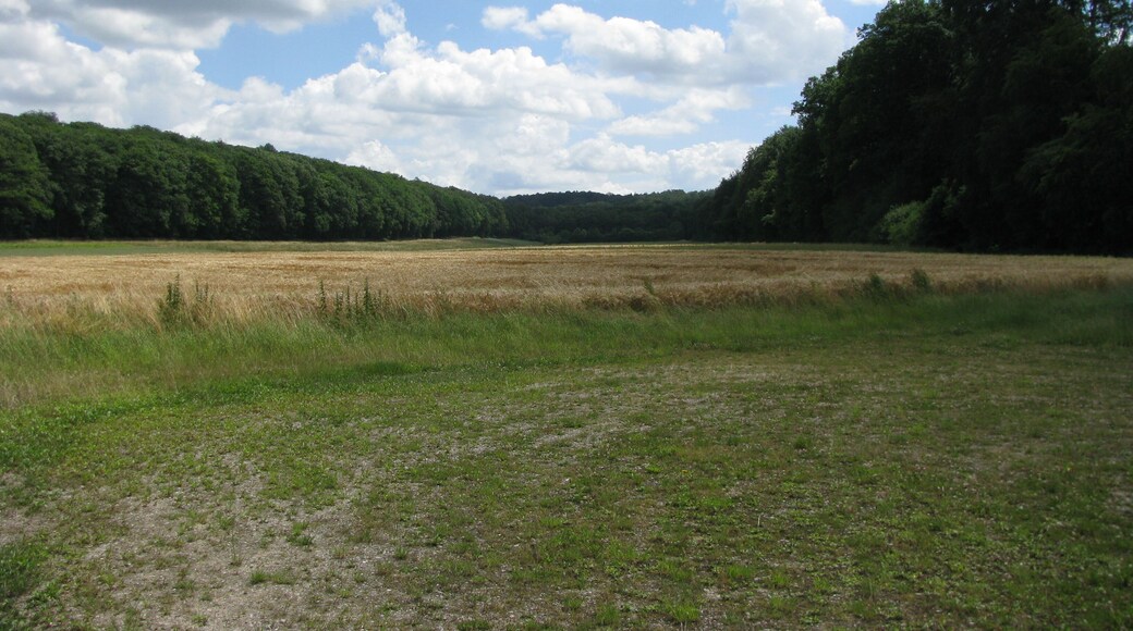 das Tal der Dinklarer Klunkau