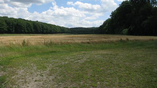 das Tal der Dinklarer Klunkau