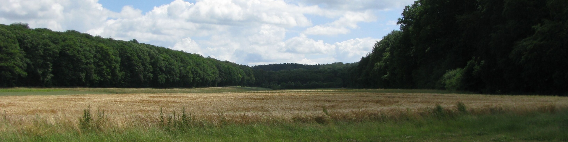 das Tal der Dinklarer Klunkau