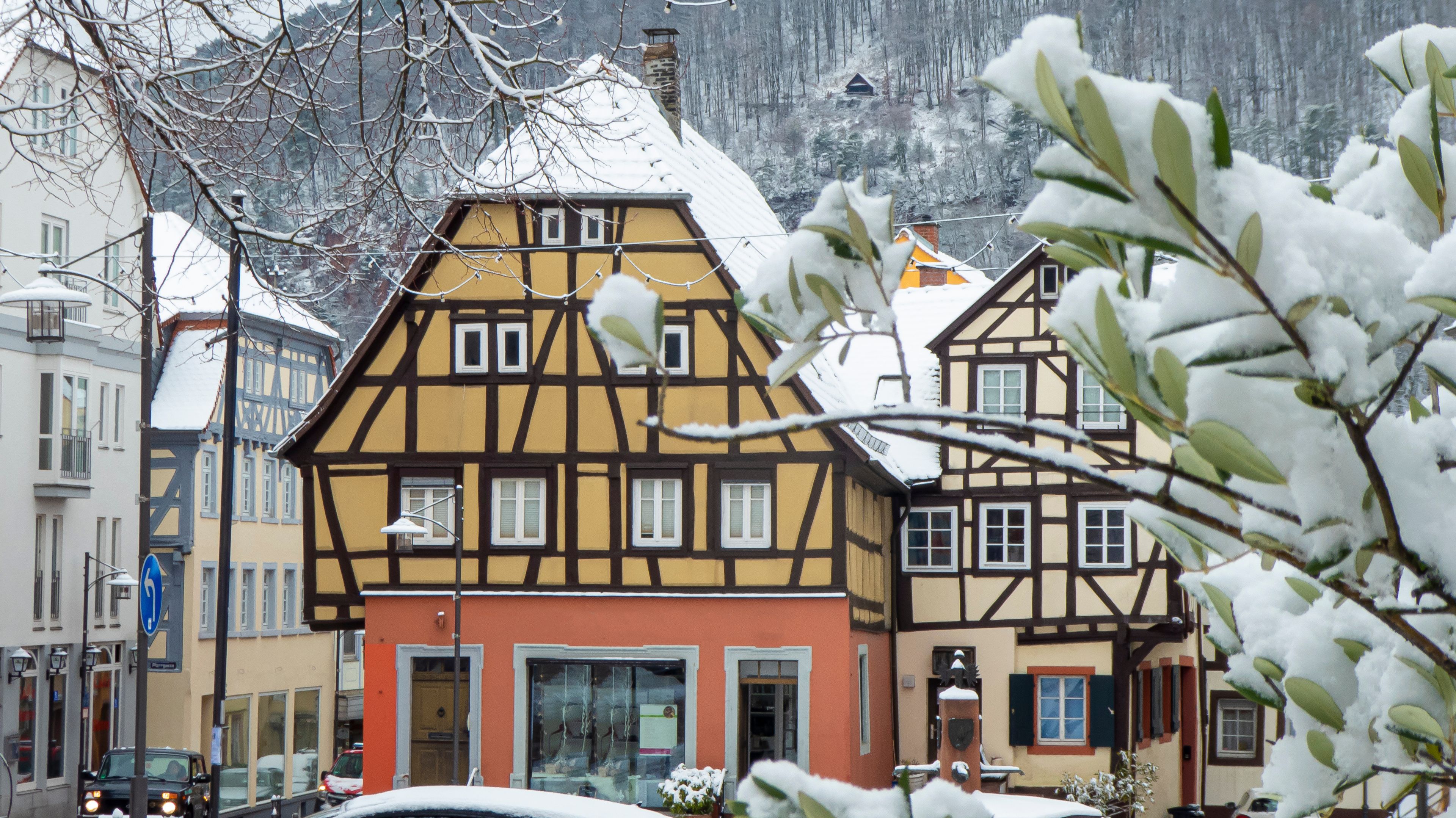Waldbrunn