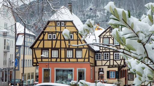 Waldbrunn
