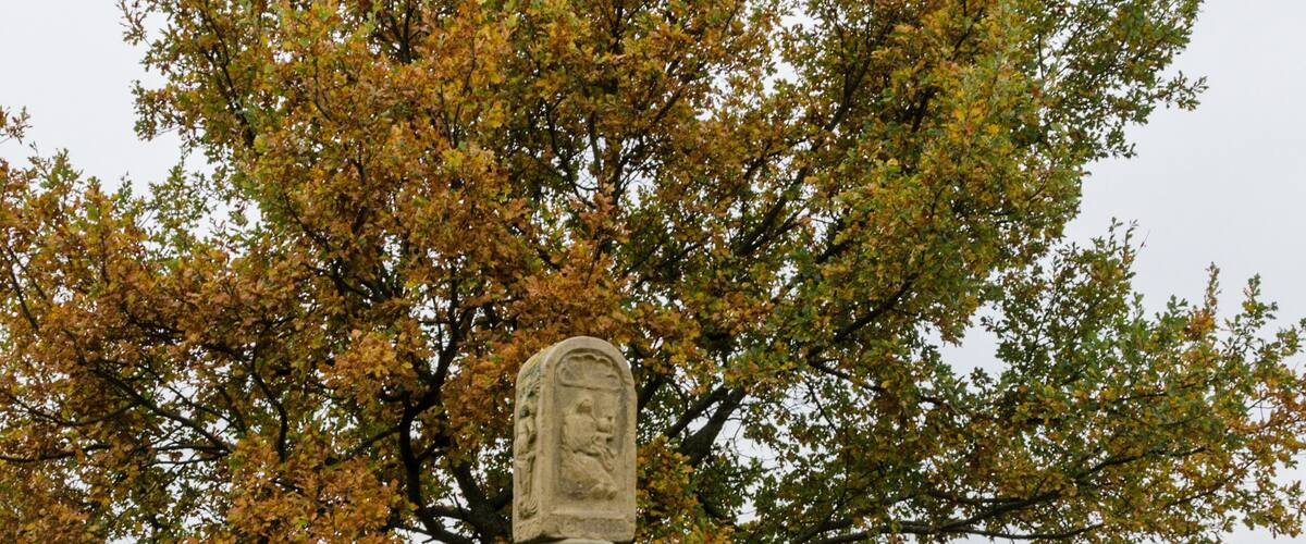 A stone monument with a carved head in a grassy field with a tree in the background.