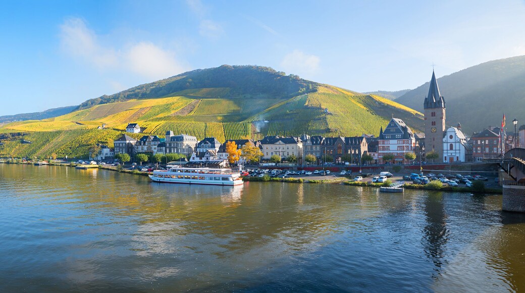 A river with a boat, a town with historic buildings, and a hill with vineyards.