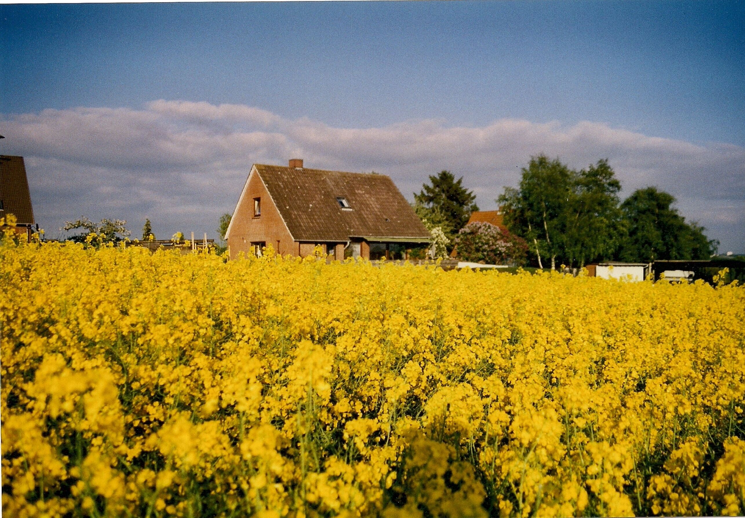 Schöne Aussicht Neutramm
