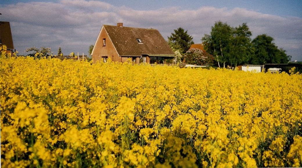Schöne Aussicht Neutramm