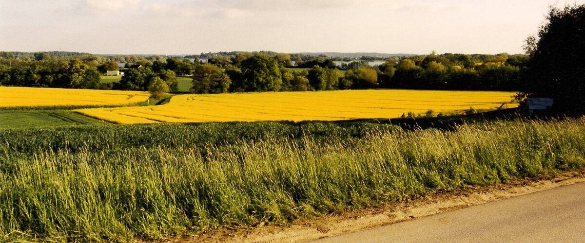 Neutramm mit Blick zum Koppelsberg