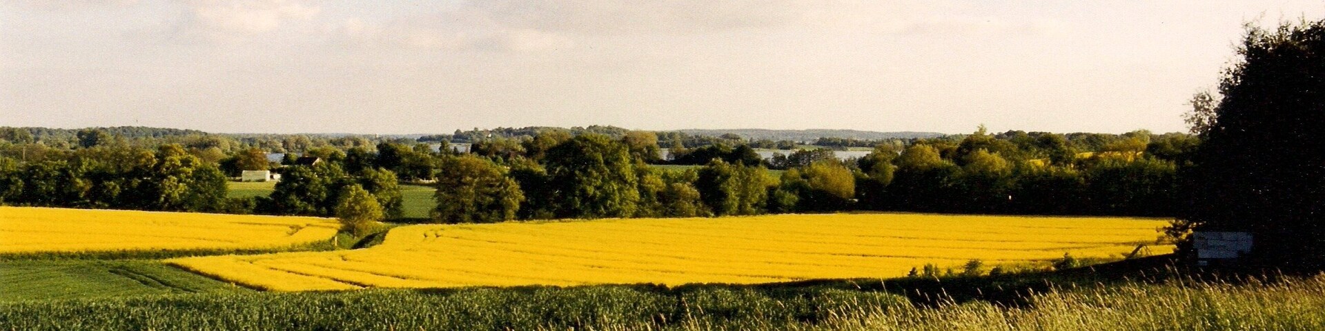 Neutramm mit Blick zum Koppelsberg