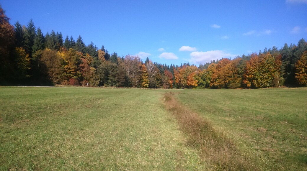 Das Quellgebiet des Steinmarker Baches