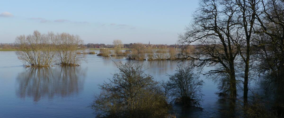 A calm river with trees and a distant bridge.