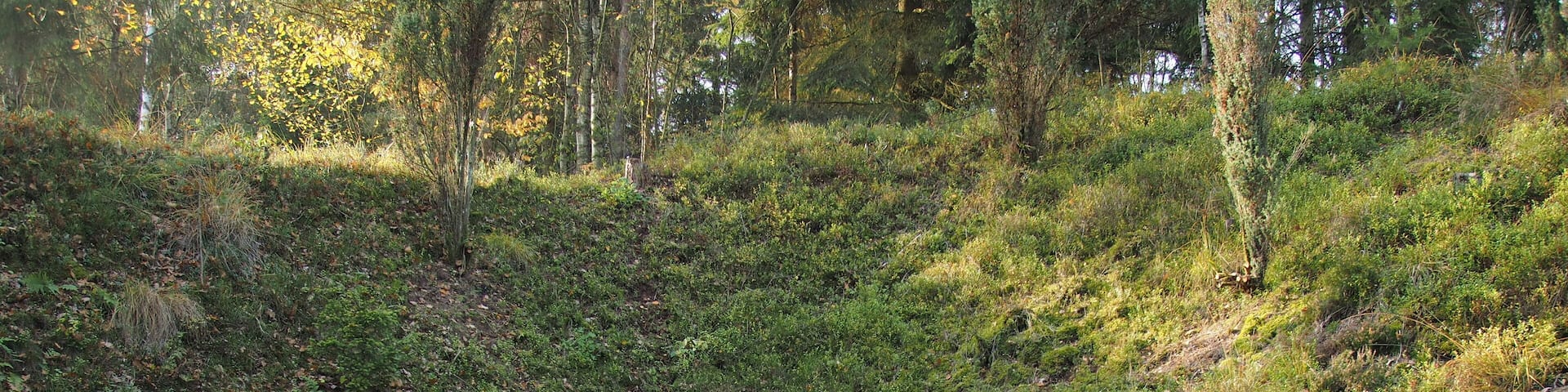 Siebensteinhäuser Grabanlage E