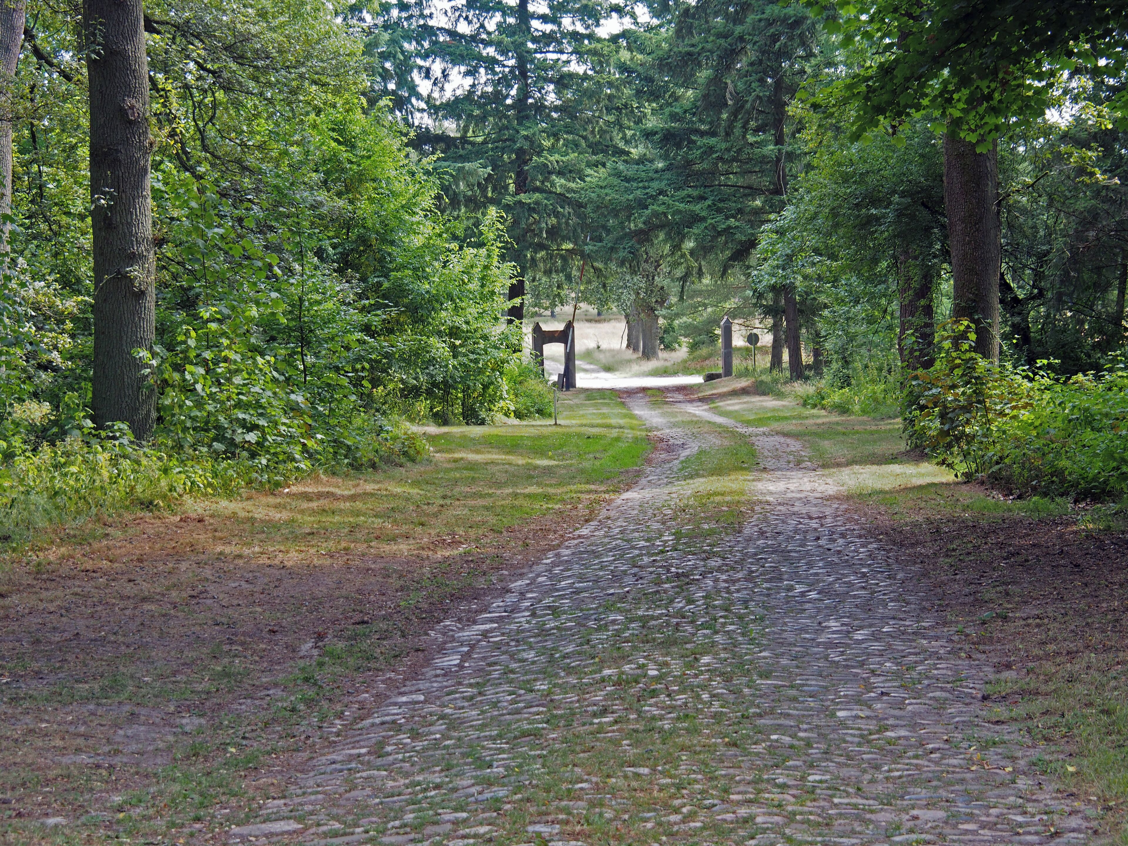 Zufahrt zum ehemaligen Gut Achterberg in der Osterheide, aus Richtung Wardböhmen