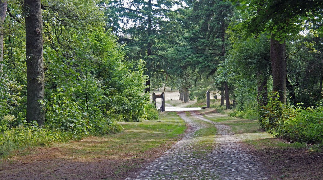 Zufahrt zum ehemaligen Gut Achterberg in der Osterheide, aus Richtung Wardböhmen