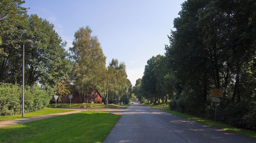 Ortsblick Oerbke, Niedersachsen, Deutschland