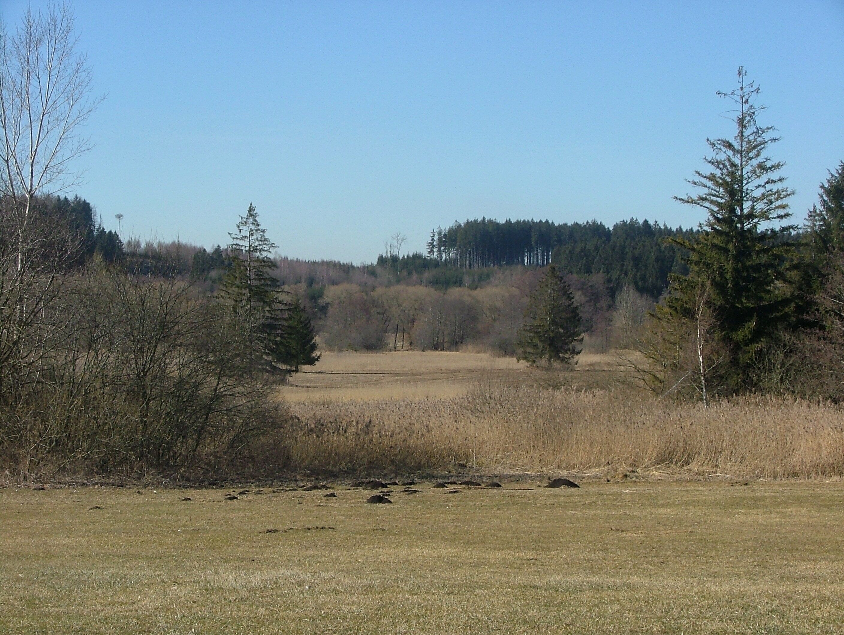 Hundsmoor im Günztal