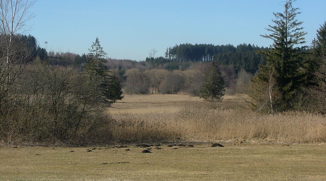 Hundsmoor im Günztal