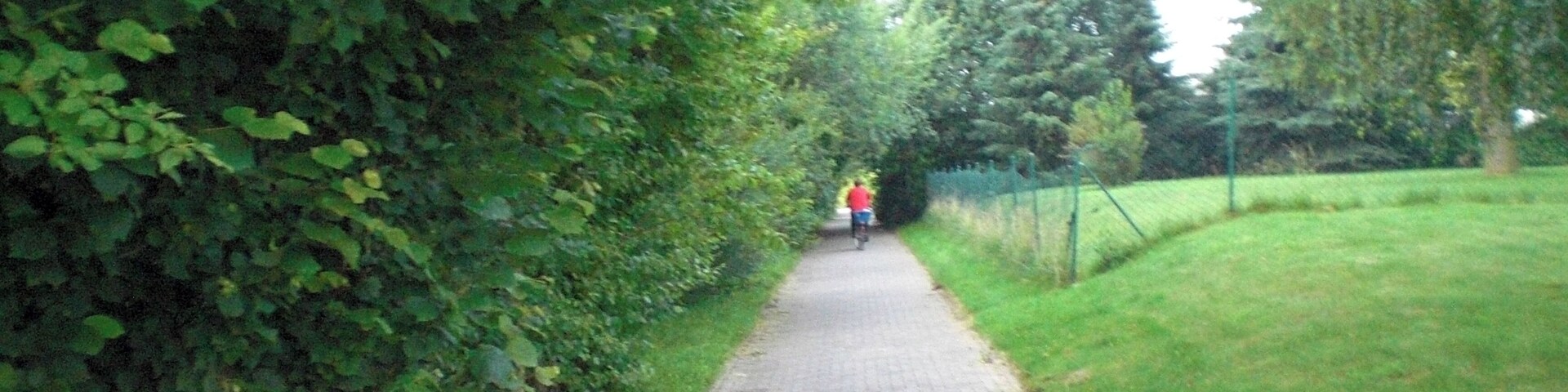 Ein gepflasterter Weg, gesäumt von dichtem Grün und einer Rasenfläche.