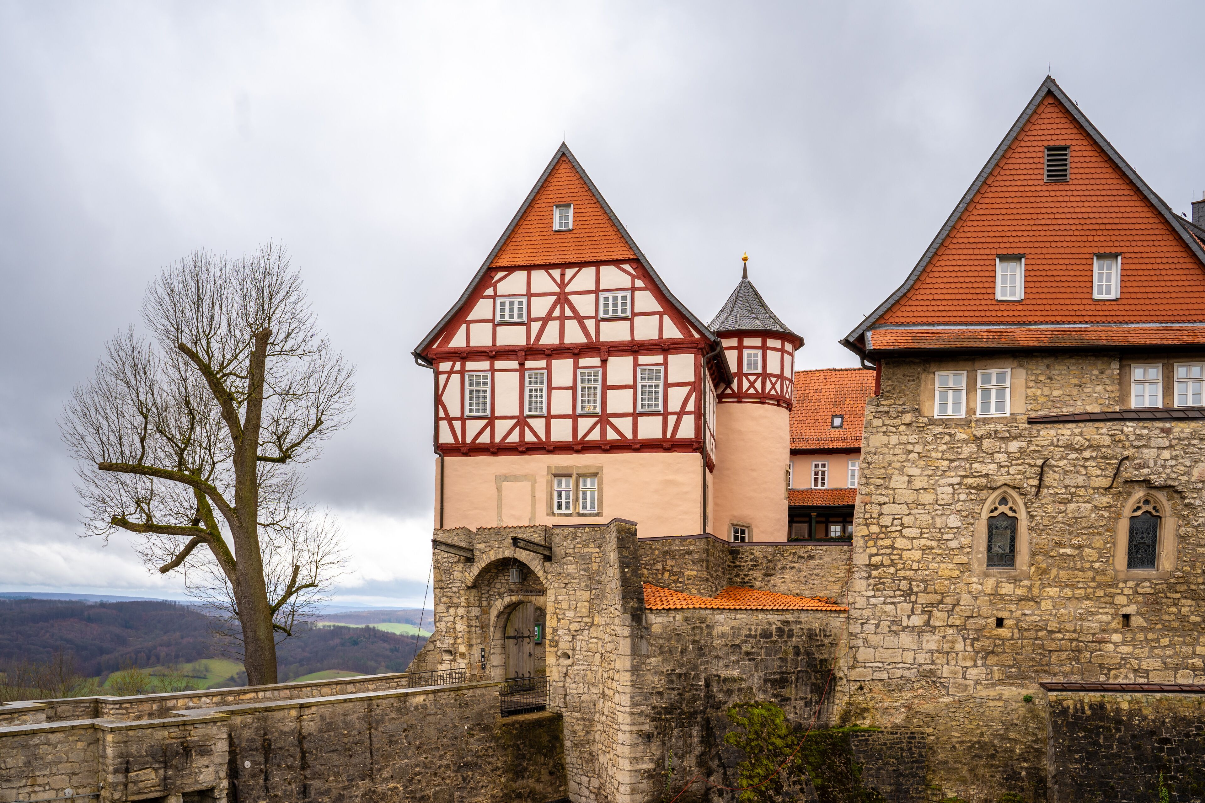 라이네펠트 보비스