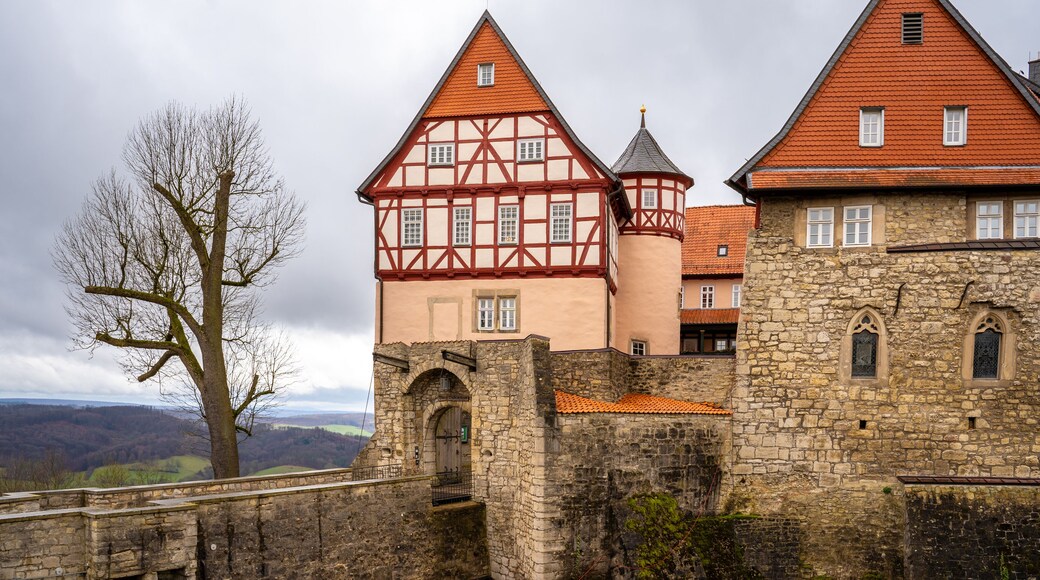 ๋ผ์ด๋คํ ํธ ๋ณด๋น์ค