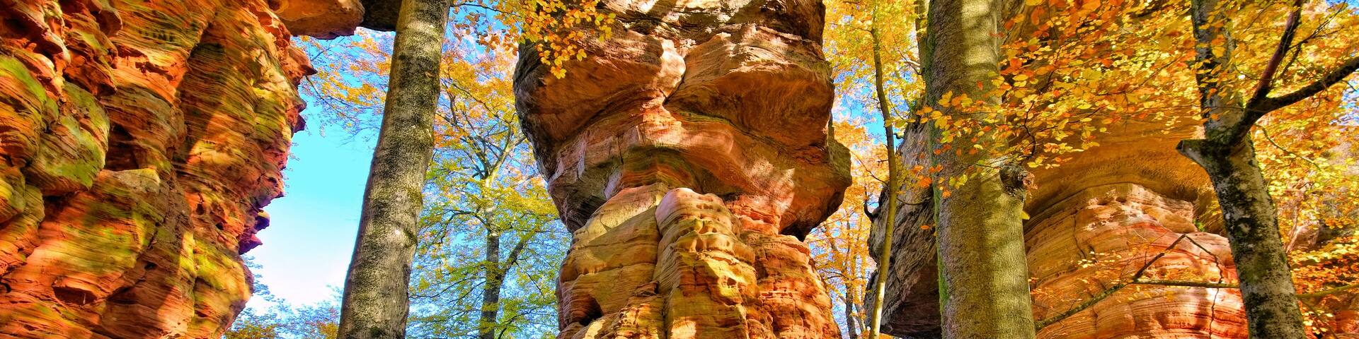 Altschlossfelsen im Dahner Felsenland im Herbst - Altschlossfelsen rock in Dahn Rockland, Germany