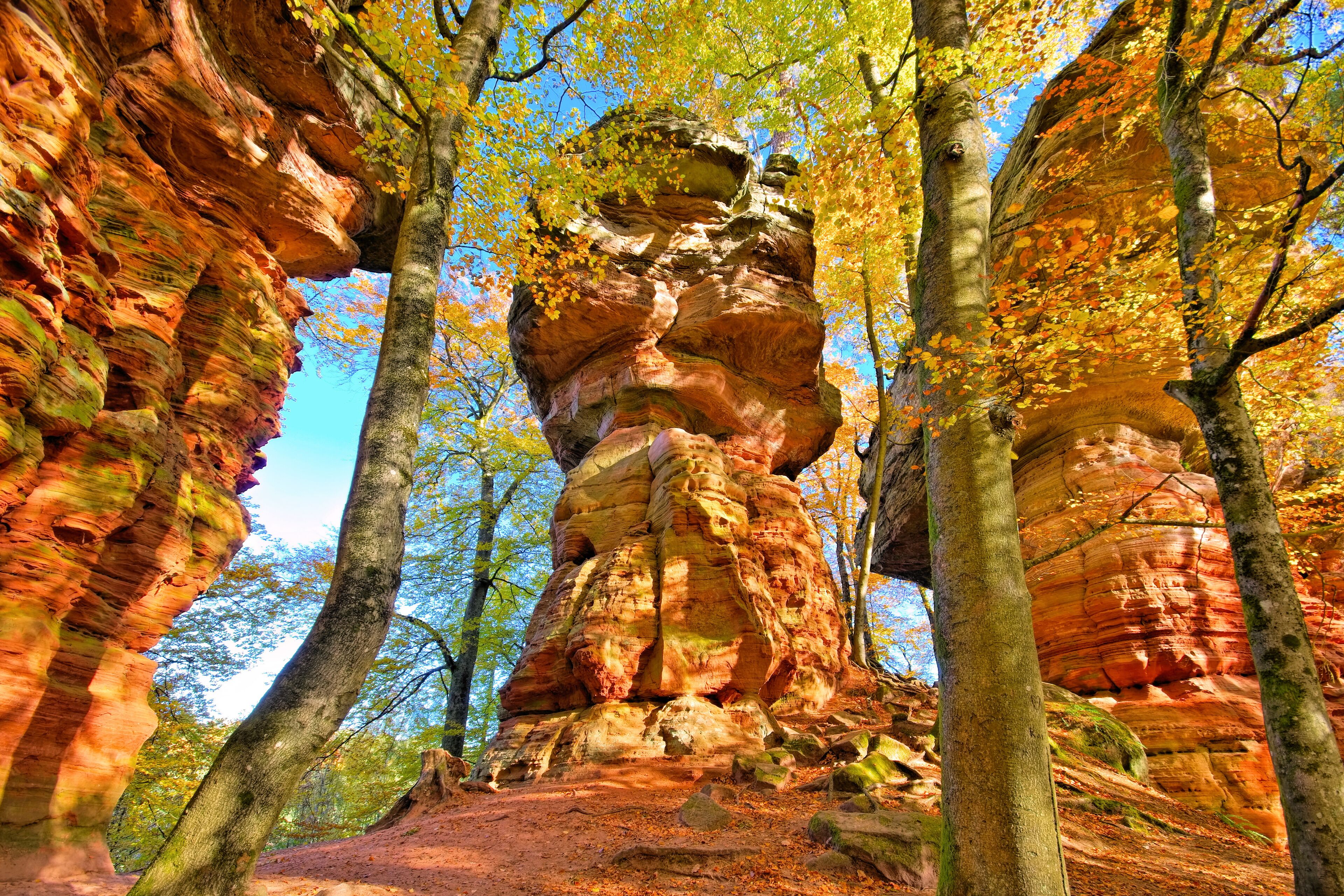 A rock formation surrounded by trees with autumn leaves.