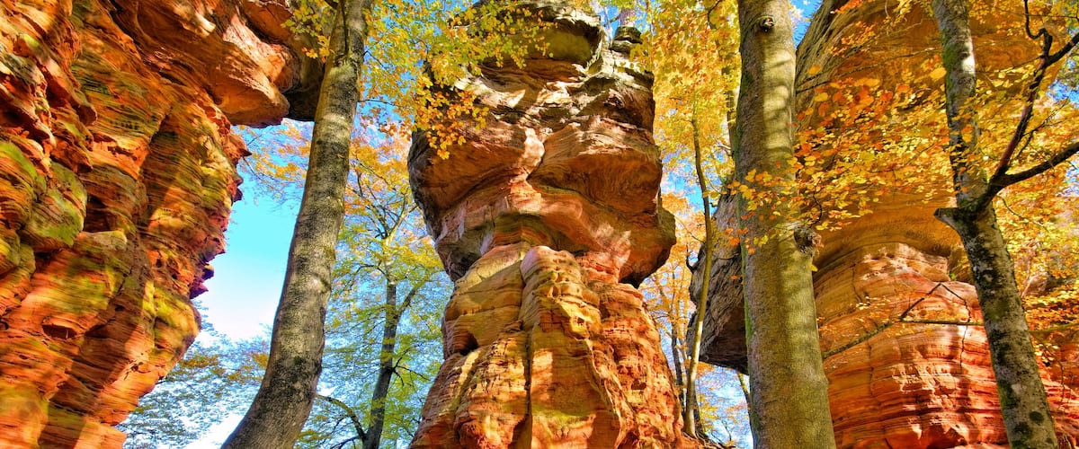 A rock formation surrounded by trees with autumn leaves.