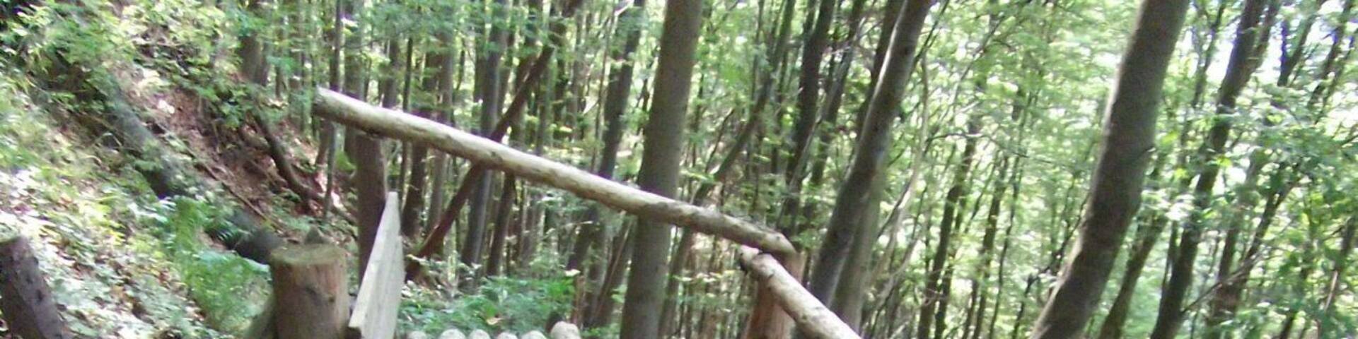 ungewöhnliche Bank-Konstruktion