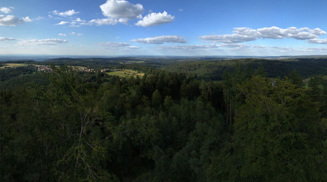 Panorama des Mahlbergs bei Gaggenau