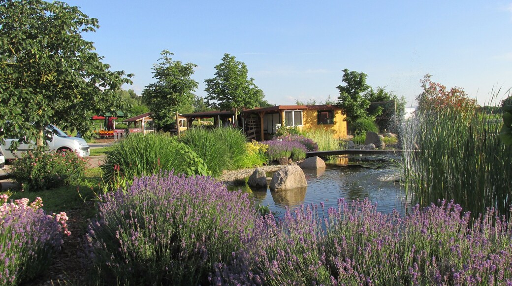 Wohlfühloase in Neumalsch