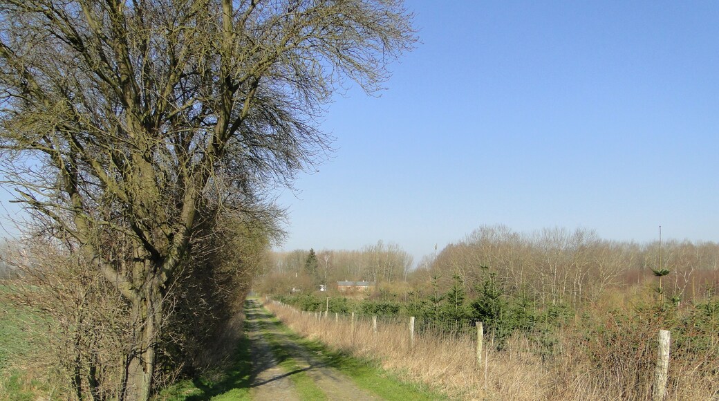 Street to the brickyard near Mestlin, district Ludwigslust-Parchim, Mecklenburg-Vorpommern, Germany
