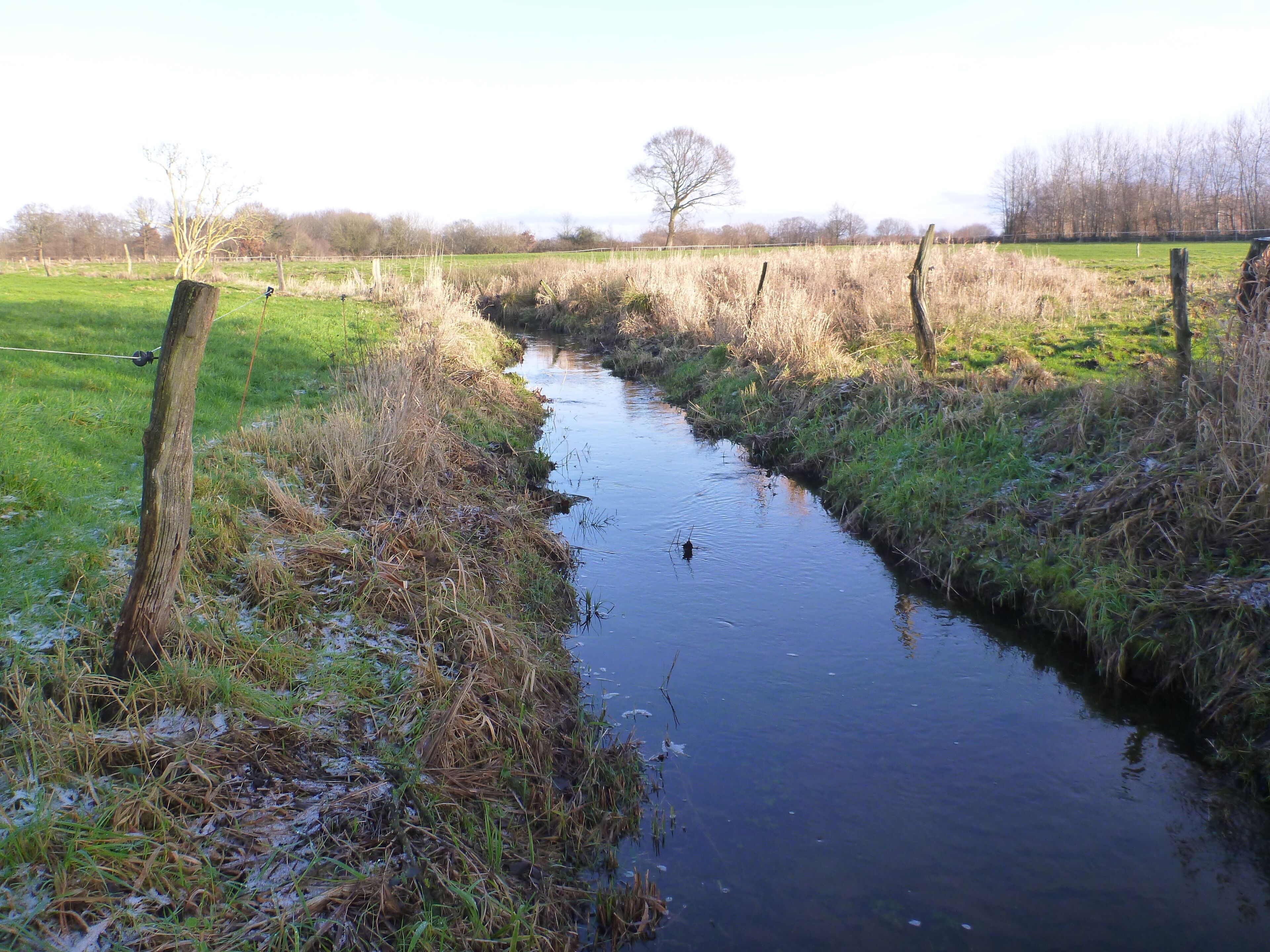 The river Geilenbek near Neumünster Ruthenberg