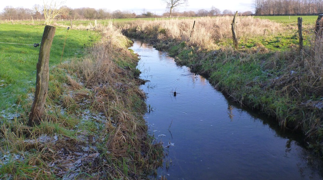 The river Geilenbek near Neumünster Ruthenberg