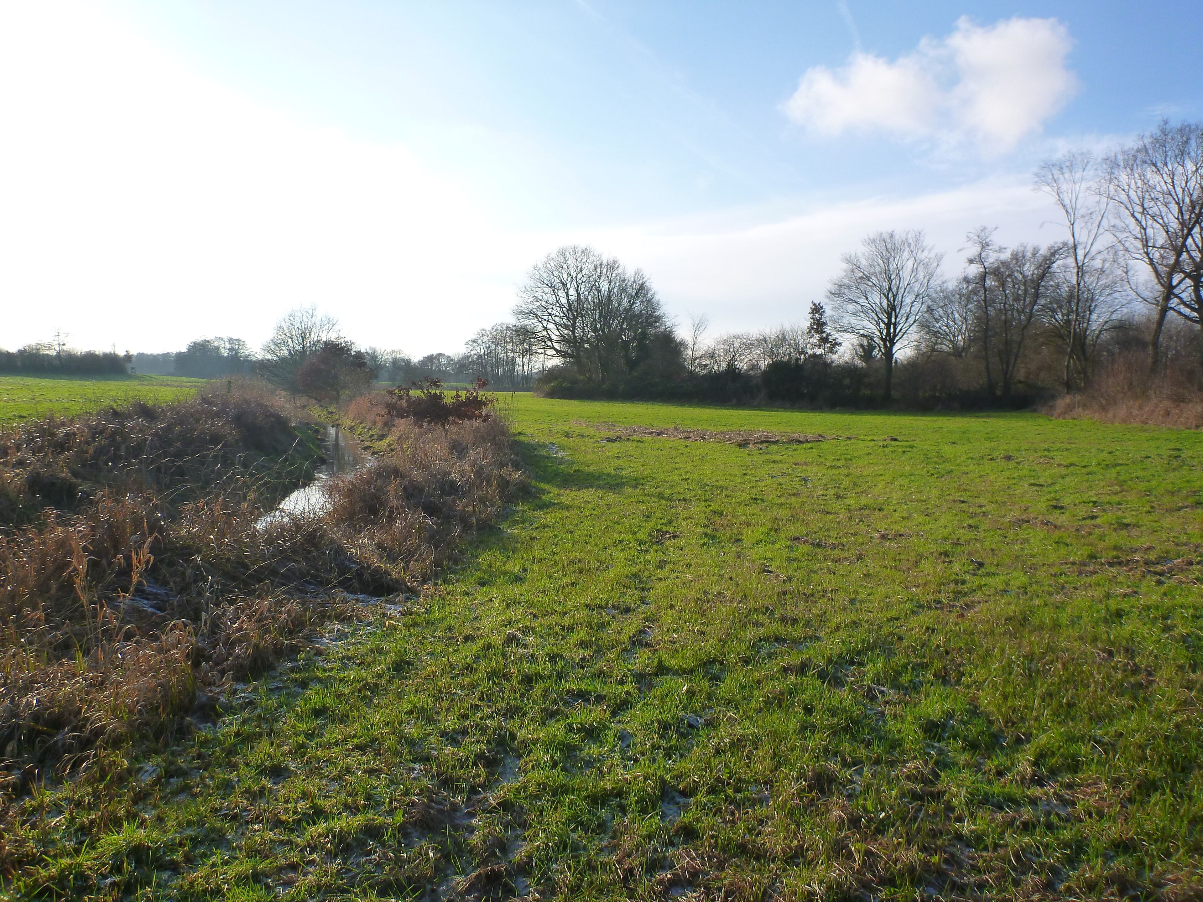 The river Geilenbek near Neumünster Ruthenberg