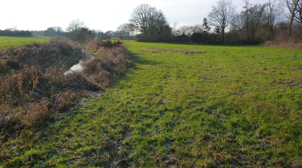 The river Geilenbek near Neumünster Ruthenberg